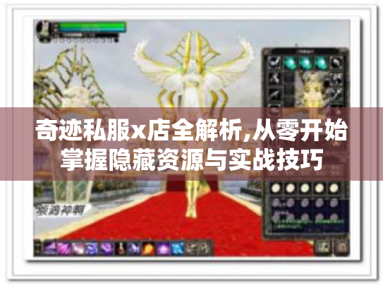 奇迹私服x店全解析,从零开始掌握隐藏资源与实战技巧