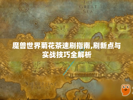 魔兽世界菊花茶速刷指南,刷新点与实战技巧全解析