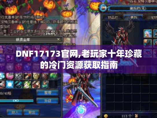 DNF17173官网,老玩家十年珍藏的冷门资源获取指南