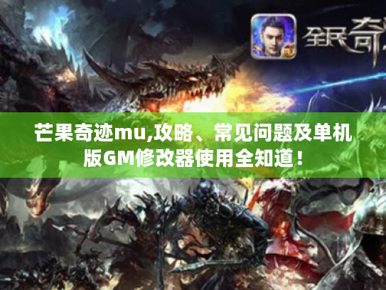 芒果奇迹mu,攻略、常见问题及单机版GM修改器使用全知道! 芒果奇迹mu,攻略、常见问题及单机版GM修改器使用全知道!