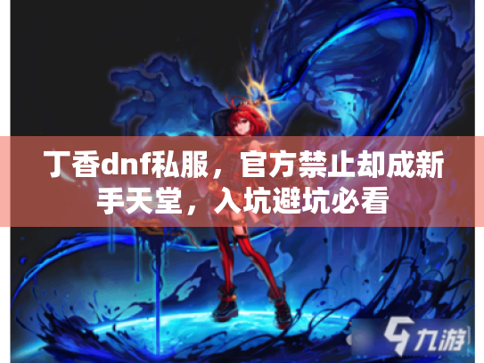 丁香dnf私服,官方禁止却成新手天堂,入坑避坑必看 丁香dnf私服,官方禁止却成新手天堂,入坑避坑必看