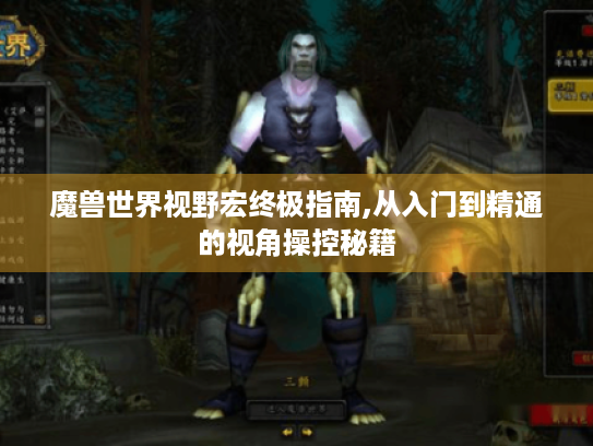 魔兽世界视野宏终极指南,从入门到精通的视角操控秘籍