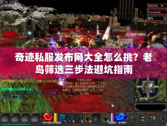 奇迹私服发布网大全怎么挑？老鸟筛选三步法避坑指南