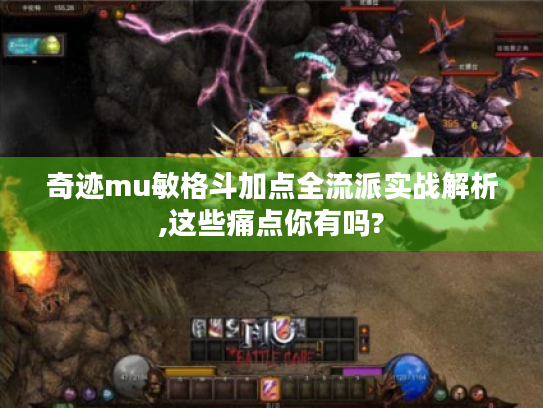 奇迹mu敏格斗加点全流派实战解析,这些痛点你有吗?
