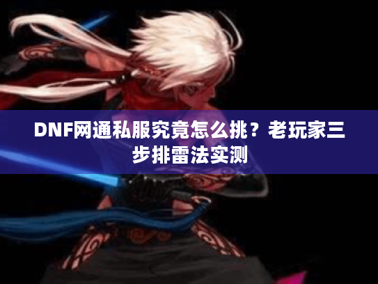 DNF网通私服究竟怎么挑？老玩家三步排雷法实测