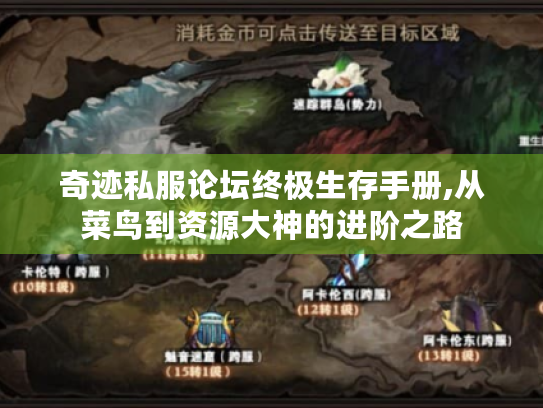 奇迹私服论坛终极生存手册,从菜鸟到资源大神的进阶之路