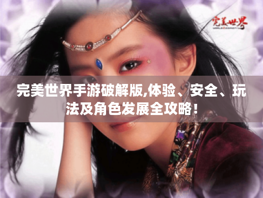 完美世界手游破解版,体验、安全、玩法及角色发展全攻略！
