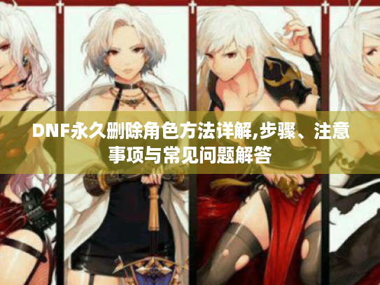 DNF永久删除角色方法详解,步骤、注意事项与常见问题解答 DNF永久删除角色方法详解,步骤、注意事项与常见问题解答