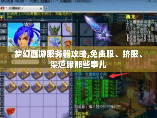 梦幻西游服务器攻略,免费服、挤服、渠道服那些事儿