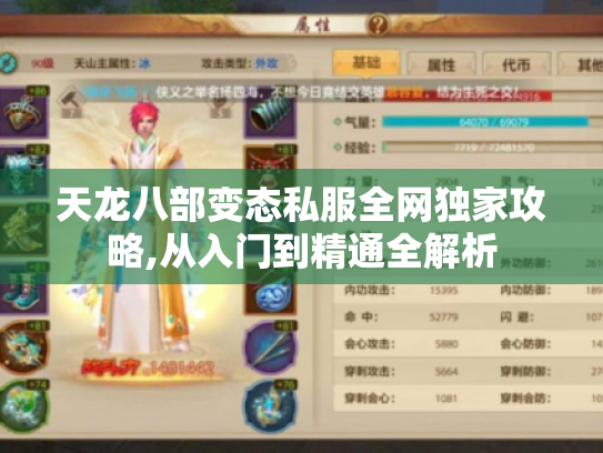 天龙八部变态私服全网独家攻略,从入门到精通全解析