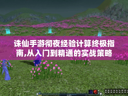 诛仙手游彻夜经验计算终极指南,从入门到精通的实战策略