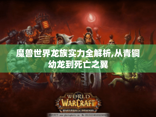 魔兽世界龙族实力全解析,从青铜幼龙到死亡之翼
