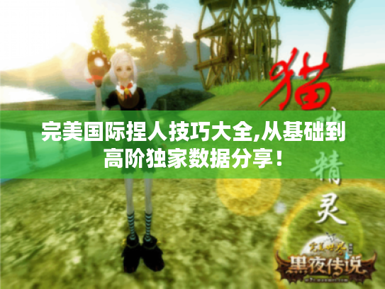 完美国际捏人技巧大全,从基础到高阶独家数据分享！