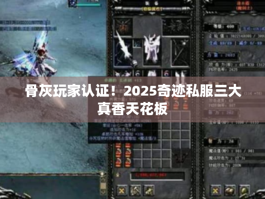 骨灰玩家认证！2025奇迹私服三大真香天花板