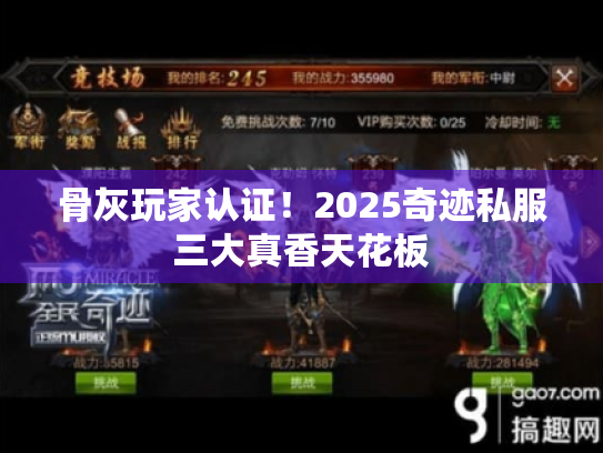 骨灰玩家认证！2025奇迹私服三大真香天花板