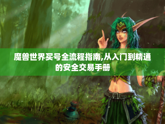 魔兽世界买号全流程指南,从入门到精通的安全交易手册