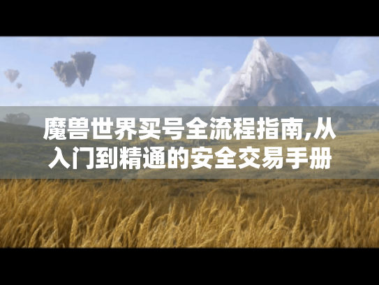 魔兽世界买号全流程指南,从入门到精通的安全交易手册