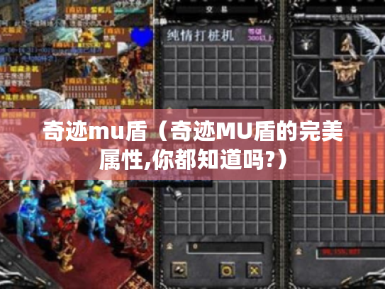 奇迹mu盾（奇迹MU盾的完美属性,你都知道吗?）
