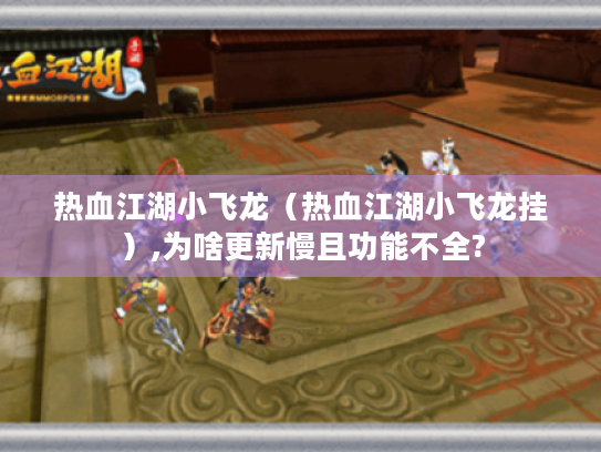 热血江湖小飞龙（热血江湖小飞龙挂）,为啥更新慢且功能不全?