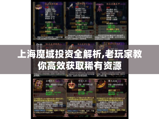 上海魔域投资全解析,老玩家教你高效获取稀有资源 上海魔域投资全解析,老玩家教你高效获取稀有资源