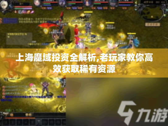 上海魔域投资全解析,老玩家教你高效获取稀有资源 上海魔域投资全解析,老玩家教你高效获取稀有资源