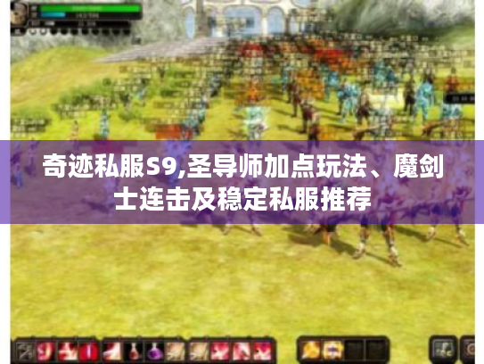 奇迹私服S9,圣导师加点玩法、魔剑士连击及稳定私服推荐