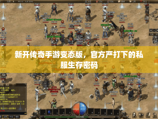 新开传奇手游变态版,官方严打下的私服生存密码 新开传奇手游变态版,官方严打下的私服生存密码