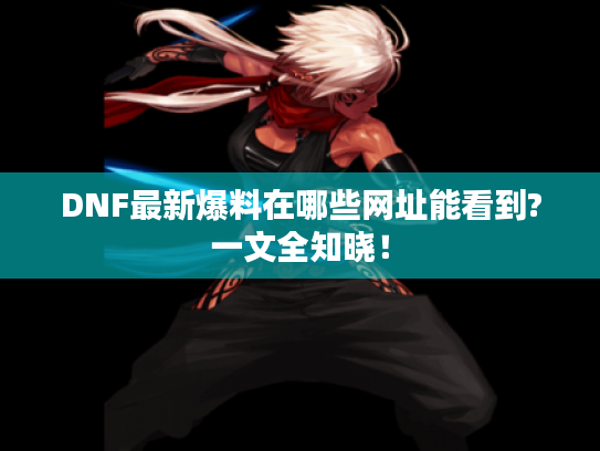 DNF最新爆料在哪些网址能看到?一文全知晓！