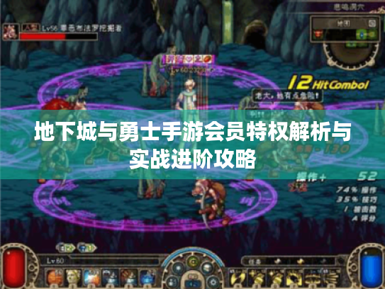 地下城与勇士手游会员特权解析与实战进阶攻略