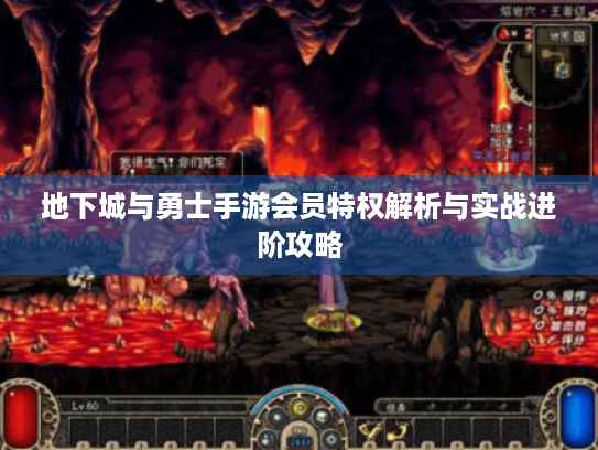 地下城与勇士手游会员特权解析与实战进阶攻略