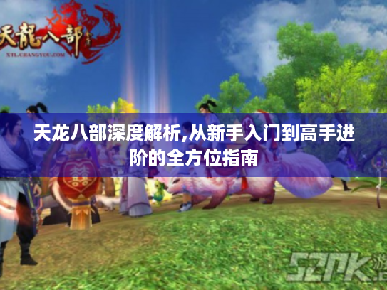 天龙八部深度解析,从新手入门到高手进阶的全方位指南
