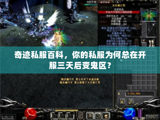 奇迹私服百科，你的私服为何总在开服三天后变鬼区？