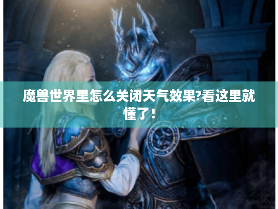 魔兽世界里怎么关闭天气效果?看这里就懂了！