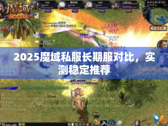2025魔域私服长期服对比，实测稳定推荐