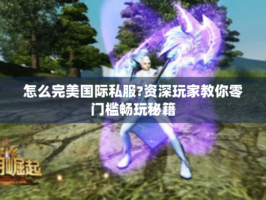 怎么完美国际私服?资深玩家教你零门槛畅玩秘籍