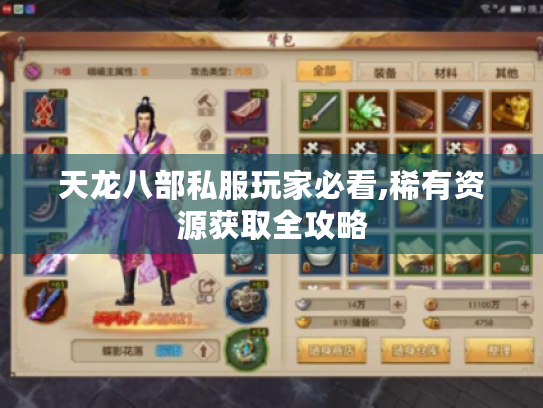 天龙八部私服玩家必看,稀有资源获取全攻略