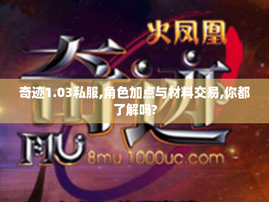 奇迹1.03私服,角色加点与材料交易,你都了解吗?
