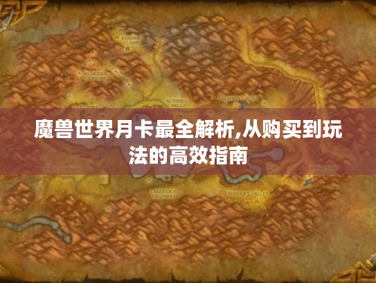 魔兽世界月卡最全解析,从购买到玩法的高效指南