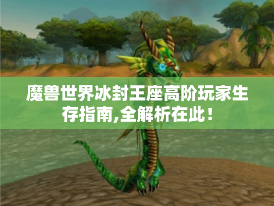 魔兽世界冰封王座高阶玩家生存指南,全解析在此！
