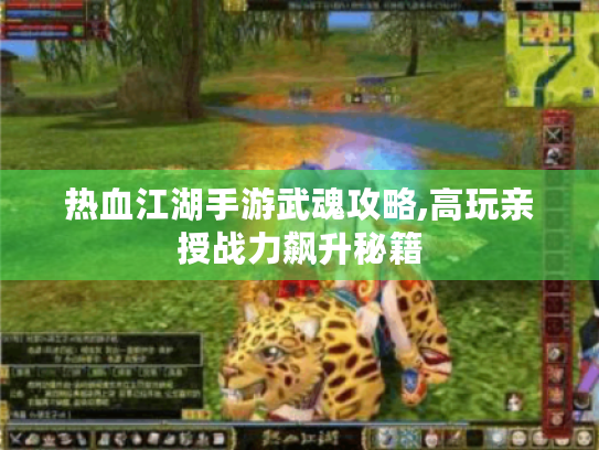热血江湖手游武魂攻略,高玩亲授战力飙升秘籍 热血江湖手游武魂攻略,高玩亲授战力飙升秘籍