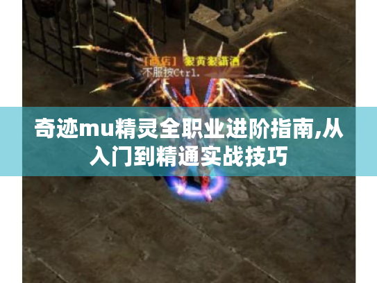 奇迹mu精灵全职业进阶指南,从入门到精通实战技巧