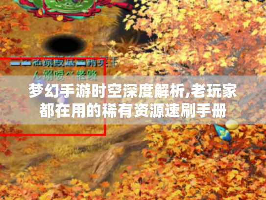 梦幻手游时空深度解析,老玩家都在用的稀有资源速刷手册 梦幻手游时空深度解析,老玩家都在用的稀有资源速刷手册