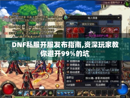 DNF私服开服发布指南,资深玩家教你避开99%的坑
