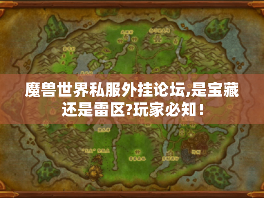 魔兽世界私服外挂论坛,是宝藏还是雷区?玩家必知！