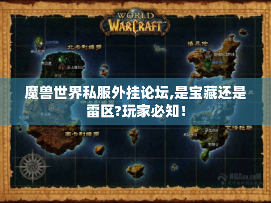 魔兽世界私服外挂论坛,是宝藏还是雷区?玩家必知！