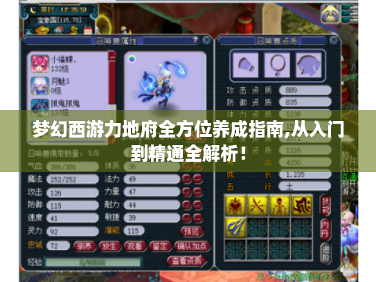 梦幻西游力地府全方位养成指南,从入门到精通全解析! 梦幻西游力地府全方位养成指南,从入门到精通全解析!