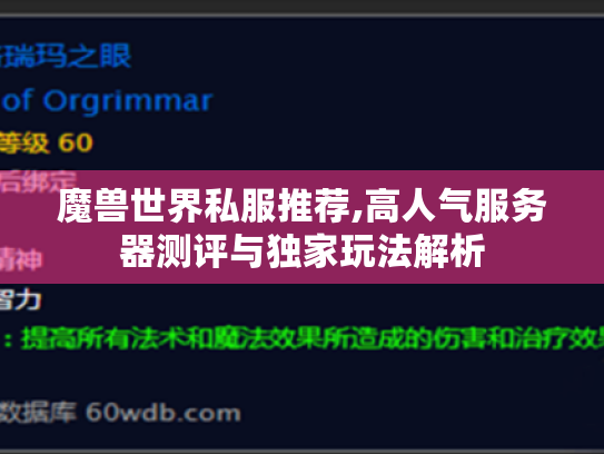 魔兽世界私服推荐,高人气服务器测评与独家玩法解析