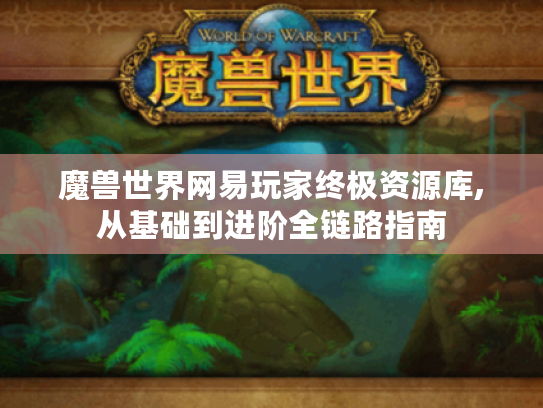 魔兽世界网易玩家终极资源库,从基础到进阶全链路指南