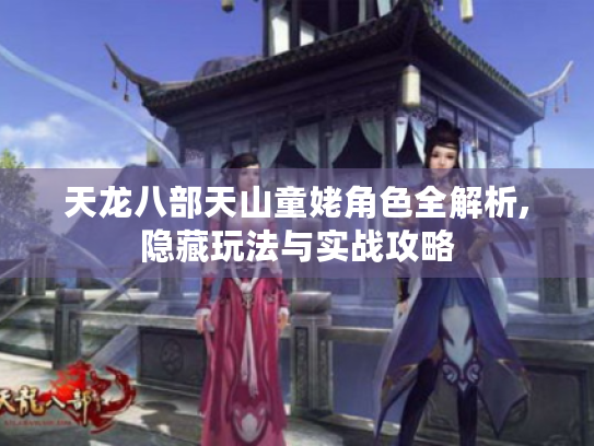 天龙八部天山童姥角色全解析,隐藏玩法与实战攻略