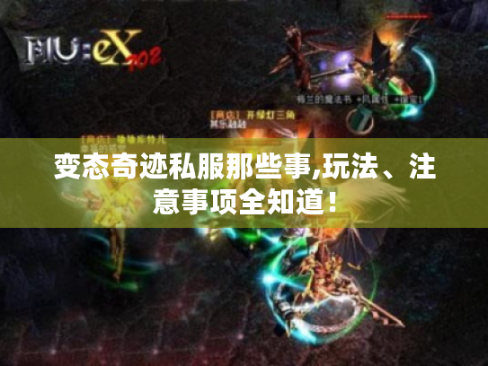 变态奇迹私服那些事,玩法、注意事项全知道! 变态奇迹私服那些事,玩法、注意事项全知道!